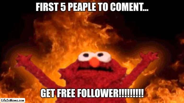 FREE FOLLOWER!!!! | FIRST 5 PEAPLE TO COMENT... GET FREE FOLLOWER!!!!!!!!! | image tagged in elmo fire | made w/ Lifeismeme meme maker