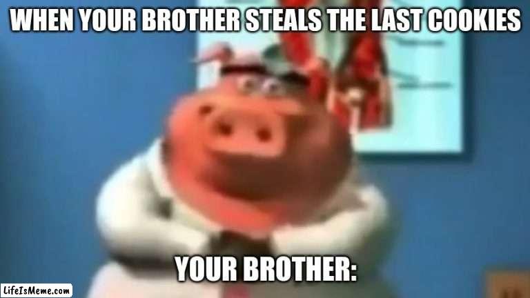 ask dr pig | WHEN YOUR BROTHER STEALS THE LAST COOKIES; YOUR BROTHER: | image tagged in pig,doctor,cookies | made w/ Lifeismeme meme maker