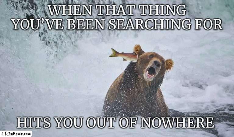 When it hits you… | WHEN THAT THING YOU’VE BEEN SEARCHING FOR; HITS YOU OUT OF NOWHERE | image tagged in funny,animals,awesome,wildlife | made w/ Lifeismeme meme maker