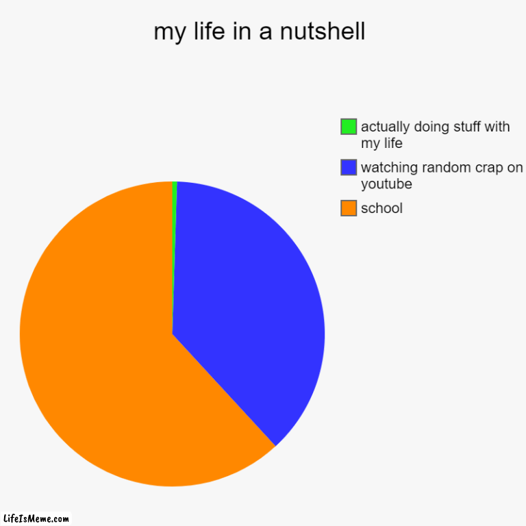 maybe i should actually do st-oooh new youtube video | my life in a nutshell | school, watching random crap on youtube, actually doing stuff with my life | image tagged in charts,pie charts,youtube,school | made w/ Lifeismeme chart maker