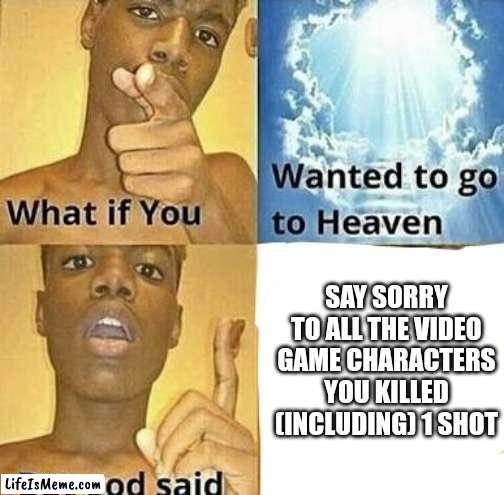 Great | SAY SORRY TO ALL THE VIDEO GAME CHARACTERS YOU KILLED (INCLUDING) 1 SHOT | image tagged in what if you wanted to go to heaven | made w/ Lifeismeme meme maker