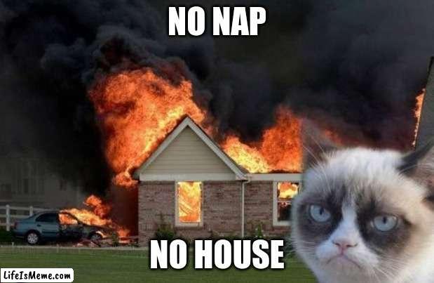 Burn Kitty Meme | NO NAP; NO HOUSE | image tagged in memes,burn kitty,grumpy cat | made w/ Lifeismeme meme maker