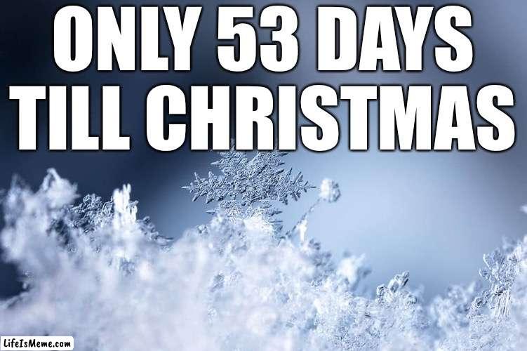 Yes I am that kind of person | ONLY 53 DAYS TILL CHRISTMAS | image tagged in snowflake,christmas | made w/ Lifeismeme meme maker