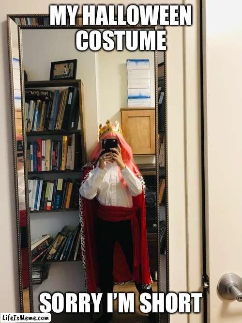 I was techno for Halloween | MY HALLOWEEN COSTUME; SORRY I’M SHORT | image tagged in technoblade,halloween,respect | made w/ Lifeismeme meme maker