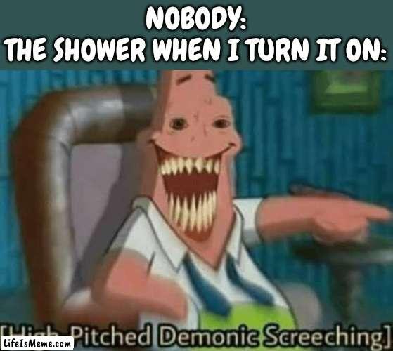 Shower sound, | NOBODY:
THE SHOWER WHEN I TURN IT ON: | image tagged in high-pitched demonic screeching,shower,stop reading the tags,i said stop,why are you reading this,stop reading these tags | made w/ Lifeismeme meme maker