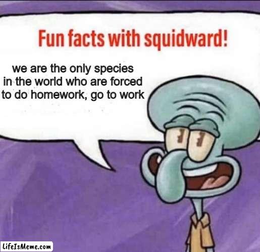 i wish i could be a dog | we are the only species in the world who are forced to do homework, go to work | image tagged in fun facts with squidward | made w/ Lifeismeme meme maker