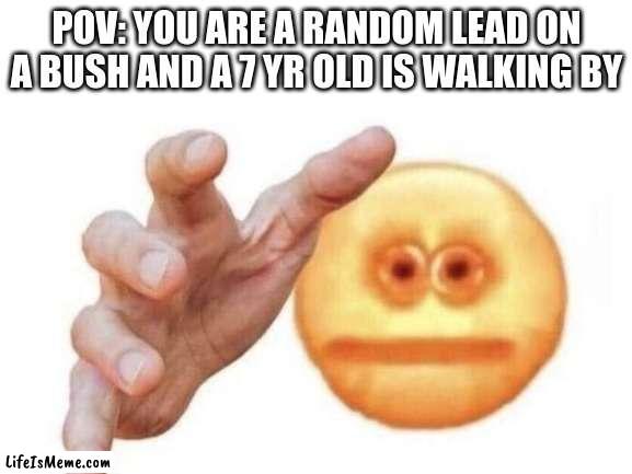 We've done this before haven't we | POV: YOU ARE A RANDOM LEAD ON A BUSH AND A 7 YR OLD IS WALKING BY | image tagged in memes | made w/ Lifeismeme meme maker