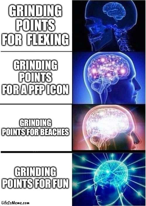 Grinding Points For Fun | GRINDING POINTS FOR  FLEXING; GRINDING POINTS FOR A PFP ICON; GRINDING POINTS FOR BEACHES; GRINDING POINTS FOR FUN | image tagged in memes,expanding brain | made w/ Lifeismeme meme maker