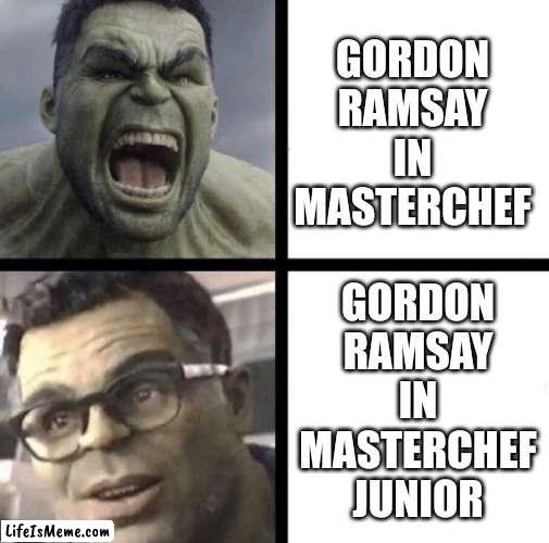 Professor Hulk | GORDON RAMSAY IN MASTERCHEF; GORDON RAMSAY IN MASTERCHEF JUNIOR | image tagged in professor hulk,hulk,gordon ramsay,idk | made w/ Lifeismeme meme maker