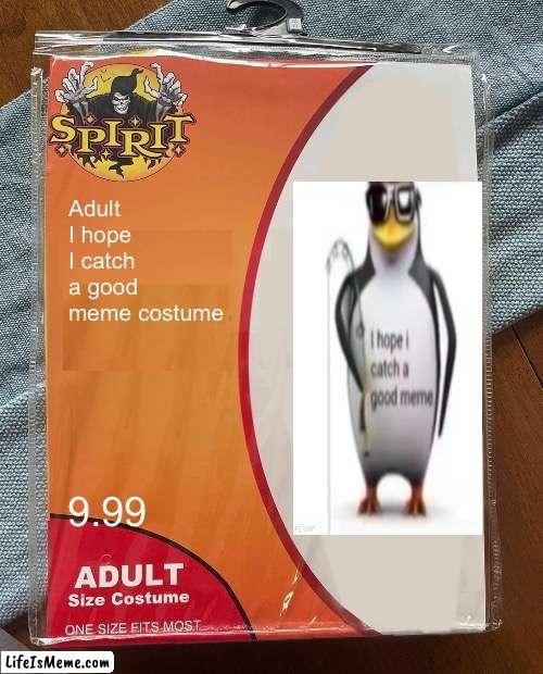 Why am I so late with this meme | Adult I hope I catch a good meme costume; 9.99 | image tagged in spirit halloween,last spooky meme,am late,good bye spooktober | made w/ Lifeismeme meme maker