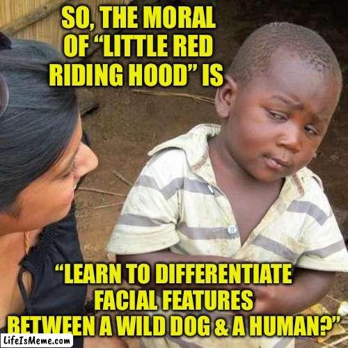 Fairy tale lessons | SO, THE MORAL OF “LITTLE RED RIDING HOOD” IS; “LEARN TO DIFFERENTIATE FACIAL FEATURES BETWEEN A WILD DOG & A HUMAN?” | image tagged in memes,third world skeptical kid | made w/ Lifeismeme meme maker