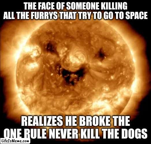 Smiling Sun | THE FACE OF SOMEONE KILLING ALL THE FURRYS THAT TRY TO GO TO SPACE; REALIZES HE BROKE THE ONE RULE NEVER KILL THE DOGS | image tagged in smiling sun,so true memes | made w/ Lifeismeme meme maker