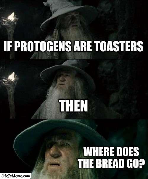 where does the bread even go | IF PROTOGENS ARE TOASTERS; THEN; WHERE DOES THE BREAD GO? | image tagged in memes,confused gandalf | made w/ Lifeismeme meme maker