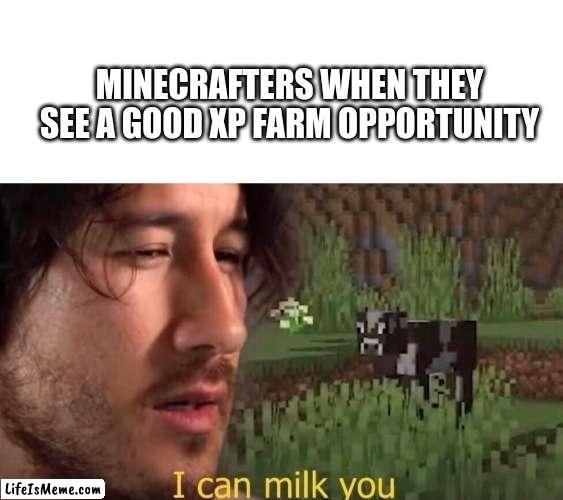 *xp grinding intensifies* | MINECRAFTERS WHEN THEY SEE A GOOD XP FARM OPPORTUNITY | image tagged in blank white template,i can milk you template | made w/ Lifeismeme meme maker