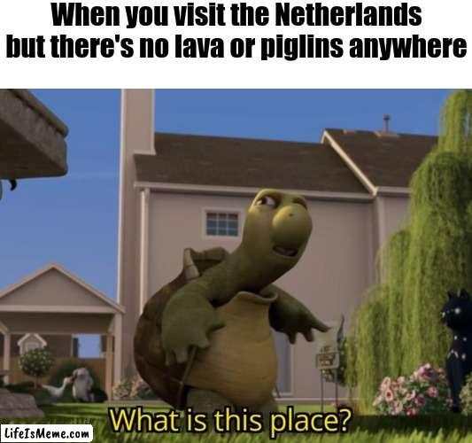 No lava? | When you visit the Netherlands but there's no lava or piglins anywhere | image tagged in what is this place,memes,netherlands,funny,repost | made w/ Lifeismeme meme maker