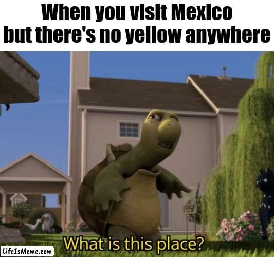 No yellow? | When you visit Mexico but there's no yellow anywhere | image tagged in what is this place,memes,mexico,funny | made w/ Lifeismeme meme maker