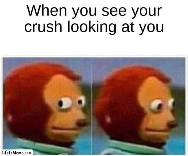 crush POV | When you see your crush looking at you | image tagged in memes,monkey puppet | made w/ Lifeismeme meme maker