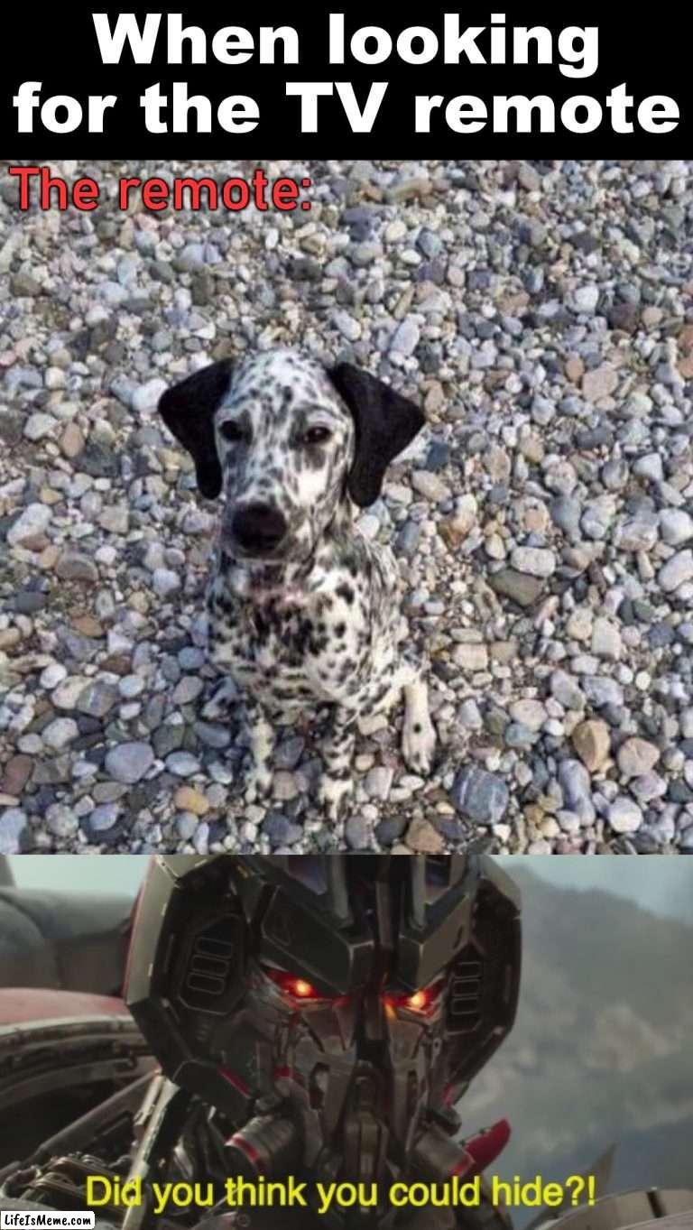 When hiding in plain site | When looking for the TV remote; The remote: | image tagged in did you think you could hide,remote control,hiding,camouflage | made w/ Lifeismeme meme maker