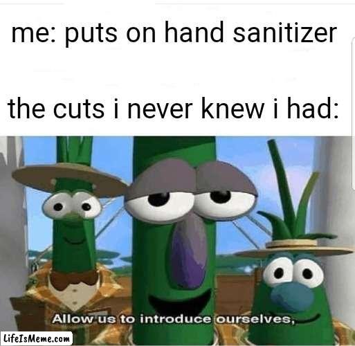 I can already feel the stinging | me: puts on hand sanitizer; the cuts i never knew i had: | image tagged in allow us to introduce ourselves | made w/ Lifeismeme meme maker