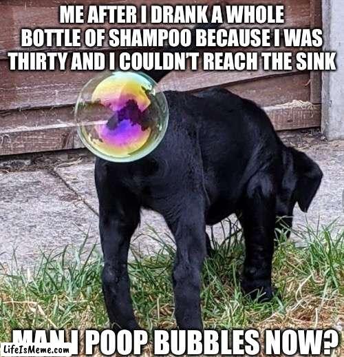 Dog balls | ME AFTER I DRANK A WHOLE BOTTLE OF SHAMPOO BECAUSE I WAS THIRTY AND I COULDN’T REACH THE SINK; MAN I POOP BUBBLES NOW? | image tagged in memes | made w/ Lifeismeme meme maker