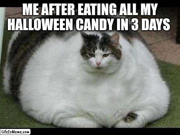 I ate the bottom text too | ME AFTER EATING ALL MY HALLOWEEN CANDY IN 3 DAYS | image tagged in fat cat 2,spooktober,candy,halloween,fat cat | made w/ Lifeismeme meme maker