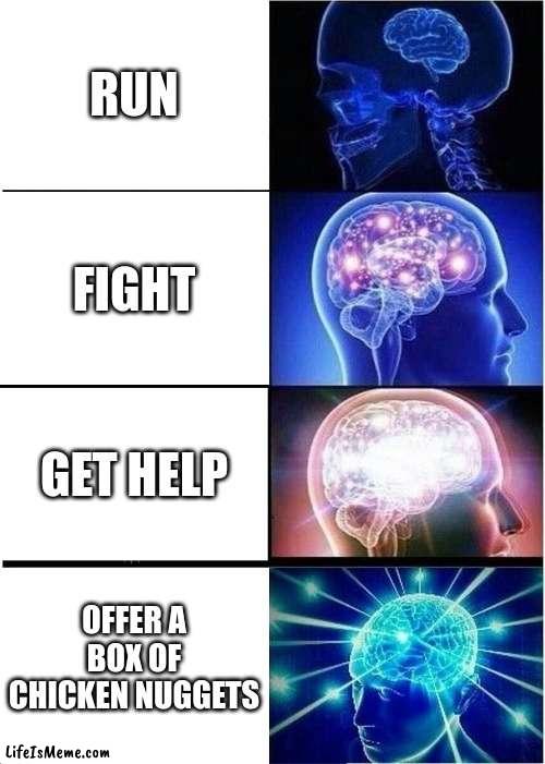 What to do when a bully is near | RUN; FIGHT; GET HELP; OFFER A BOX OF CHICKEN NUGGETS | image tagged in memes,expanding brain,running,help,mcdonalds | made w/ Lifeismeme meme maker