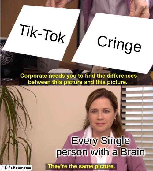 tIk-tOk iS cRiNgE | Tik-Tok; Cringe; Every Single person with a Brain | image tagged in memes,they're the same picture,tiktok,cringe,same,funny | made w/ Lifeismeme meme maker