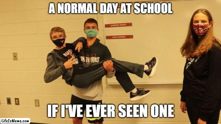 A Normal Day at School | A NORMAL DAY AT SCHOOL; IF I'VE EVER SEEN ONE | image tagged in the office files,school,ava rage | made w/ Lifeismeme meme maker