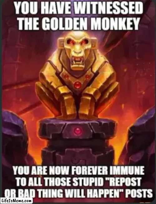 Do you like? | image tagged in immunity,golden monkey,monkey,gold | made w/ Lifeismeme meme maker