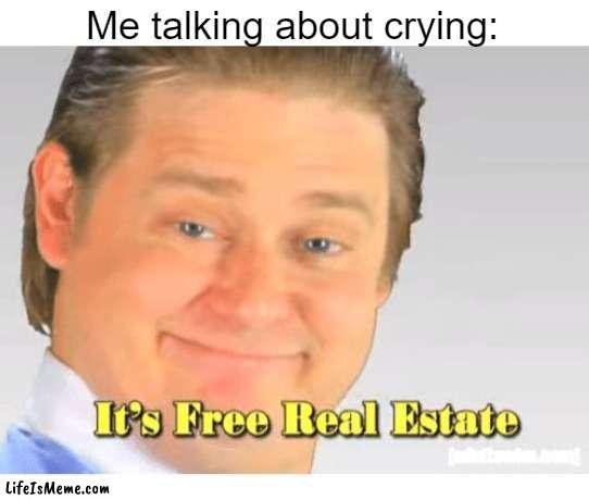 What do you miss about crying? | Me talking about crying: | image tagged in it's free real estate,memes | made w/ Lifeismeme meme maker