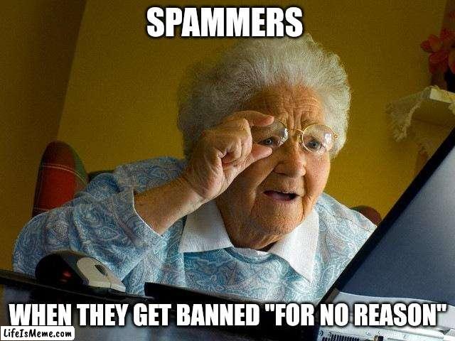 spammers be like | SPAMMERS; WHEN THEY GET BANNED "FOR NO REASON" | image tagged in memes,grandma finds the internet | made w/ Lifeismeme meme maker