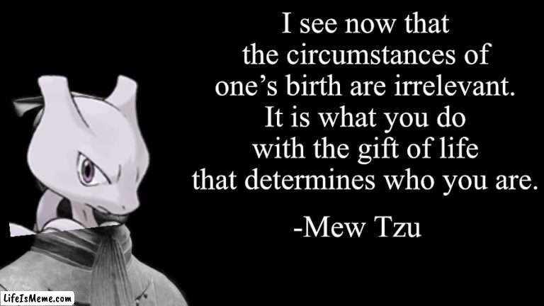 From The Art of Catching Them All | I see now that the circumstances of one’s birth are irrelevant. It is what you do with the gift of life that determines who you are. -Mew Tzu | image tagged in sun tzu,pokemon,deep thoughts,mewtwo | made w/ Lifeismeme meme maker