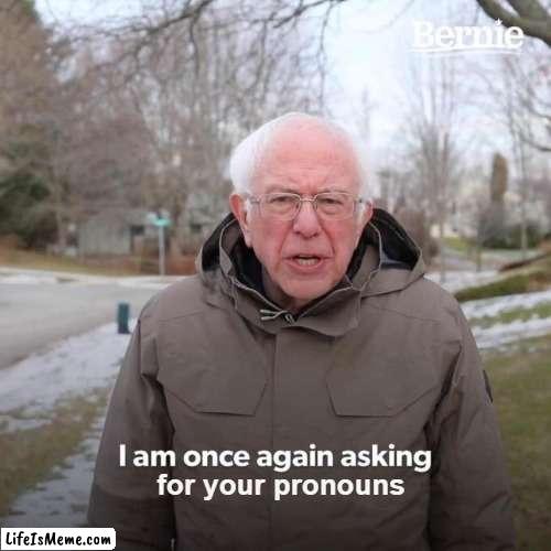 the genderfluid struggle | for your pronouns | image tagged in memes,bernie i am once again asking for your support | made w/ Lifeismeme meme maker