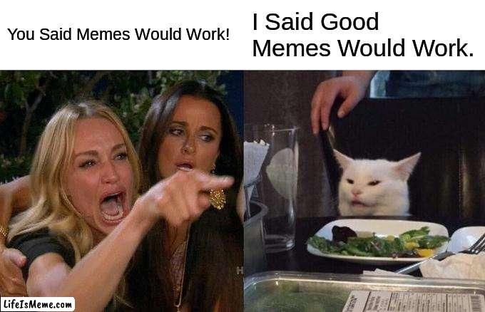 Good Memes | You Said Memes Would Work! I Said Good Memes Would Work. | image tagged in memes,woman yelling at cat | made w/ Lifeismeme meme maker