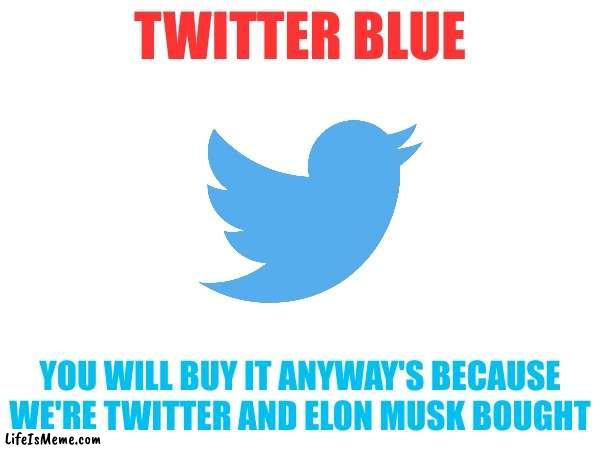 E L O N  M U S K | TWITTER BLUE; YOU WILL BUY IT ANYWAY'S BECAUSE WE'RE TWITTER AND ELON MUSK BOUGHT | image tagged in elon musk buying twitter,twitter | made w/ Lifeismeme meme maker