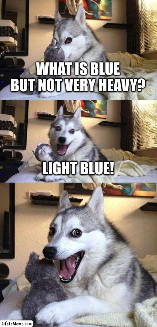 [best title] | WHAT IS BLUE BUT NOT VERY HEAVY? LIGHT BLUE! | image tagged in memes,bad pun dog | made w/ Lifeismeme meme maker