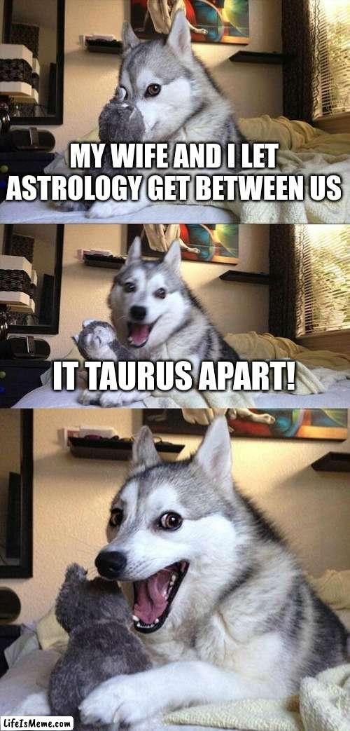 dad jokes | MY WIFE AND I LET ASTROLOGY GET BETWEEN US; IT TAURUS APART! | image tagged in memes,bad pun dog | made w/ Lifeismeme meme maker