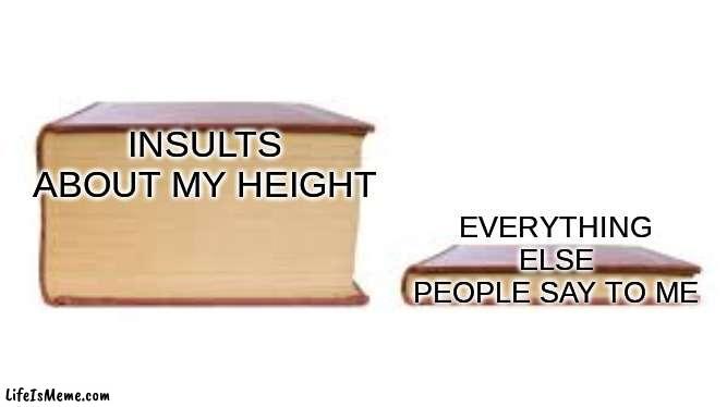 Insults | INSULTS ABOUT MY HEIGHT; EVERYTHING ELSE PEOPLE SAY TO ME | image tagged in big book small book | made w/ Lifeismeme meme maker