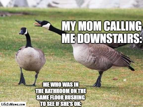 Goose | MY MOM CALLING ME DOWNSTAIRS:; ME WHO WAS IN THE BATHROOM ON THE SAME FLOOR RUSHING TO SEE IF SHE'S OK: | image tagged in goose | made w/ Lifeismeme meme maker