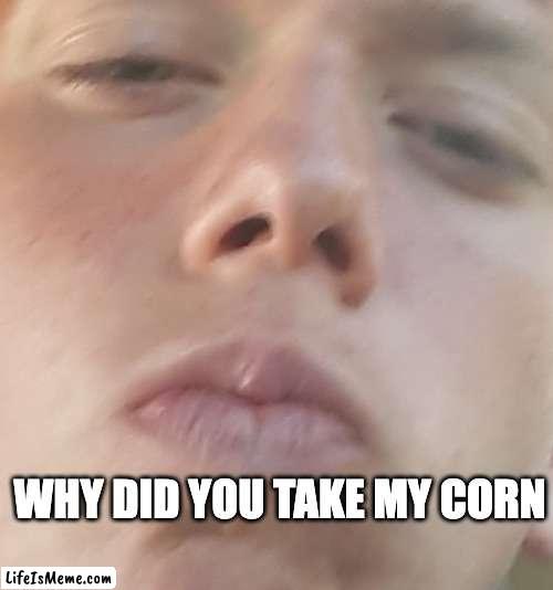 corn | WHY DID YOU TAKE MY CORN | image tagged in funny,sus | made w/ Lifeismeme meme maker