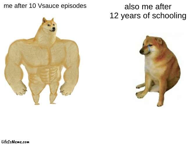 lmaooo | me after 10 Vsauce episodes; also me after 12 years of schooling | image tagged in memes,buff doge vs cheems,vsauce,school,school sucks | made w/ Lifeismeme meme maker