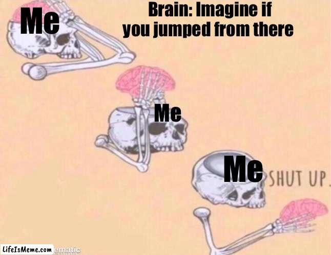 Why tf | Brain: Imagine if you jumped from there; Me; Me; Me | image tagged in skeleton shut up meme,never gonna give you up,never gonna let you down,never gonna run around,and desert you,mental illness | made w/ Lifeismeme meme maker