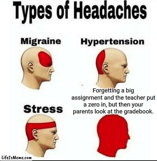 The gradebook as soon as your parents look through it. | Forgetting a big assignment and the teacher put a zero in, but then your parents look at the gradebook. | image tagged in types of headaches meme,grades,bad grades,teacher,parents,pain | made w/ Lifeismeme meme maker