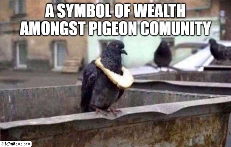 a symbol of wealth amongst peigon community | A SYMBOL OF WEALTH AMONGST PIGEON COMUNITY | image tagged in memes | made w/ Lifeismeme meme maker