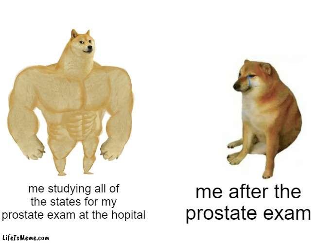 -(__)- | me studying all of the states for my prostate exam at the hopital; me after the prostate exam | image tagged in memes,buff doge vs cheems | made w/ Lifeismeme meme maker