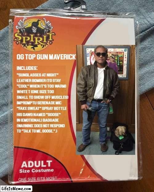 OG TOP GUN MAVERICK | OG TOP GUN MAVERICK; INCLUDES:; "Sunglasses at night"; Leather Bomber (to stay "cool" when it's too warm); White T (one size too small to show off muscles); Impromptu Serenade Mic; "Fake Sweat" Spray Bottle; His Dawg Named "Goose" in (emotional) baggage; (WARNING: Does NOT respond to "Talk to me, Goose.".) | image tagged in spirit halloween,costume,cosplay,top gun,maverick | made w/ Lifeismeme meme maker