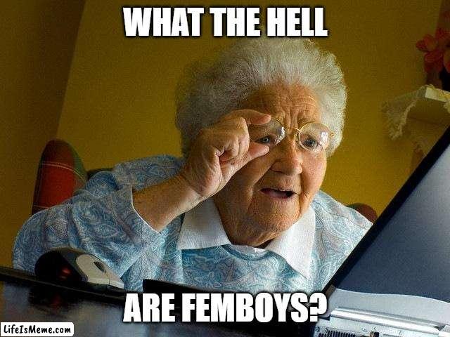 boomer | WHAT THE HELL; ARE FEMBOYS? | image tagged in memes,grandma finds the internet | made w/ Lifeismeme meme maker