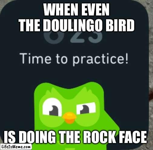 Rididjdjddnddn | WHEN EVEN THE DOULINGO BIRD; IS DOING THE ROCK FACE | image tagged in lol | made w/ Lifeismeme meme maker