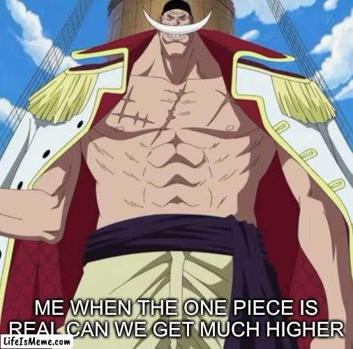 the one piece is real | ME WHEN THE ONE PIECE IS REAL CAN WE GET MUCH HIGHER | image tagged in the one piece is real | made w/ Lifeismeme meme maker