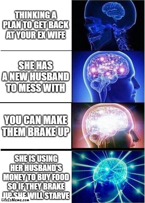 plans no get back | THINKING A PLAN TO GET BACK AT YOUR EX WIFE; SHE HAS A NEW HUSBAND TO MESS WITH; YOU CAN MAKE THEM BRAKE UP; SHE IS USING HER HUSBAND'S MONEY TO BUY FOOD SO IF THEY BRAKE UP SHE WILL STARVE | image tagged in memes,expanding brain,ex wife | made w/ Lifeismeme meme maker